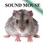 Rat mice 5.0