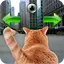 Cat In City Go Simulator 1.0