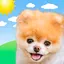 Boo Weather 6.0.3