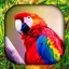 Tropical Birds Wallpaper Live 3.0.0