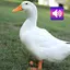 Duck: Sounds & Ringtones