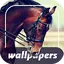 Horses Cool Wallpapers