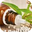 Bangla Homeo Medicine Guide 1.7