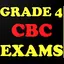 Grade 4 Cbc Exams All subjects 5.0