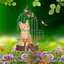 Cat and Hummingbirds Wallpaper 1.1.11