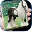 Gypsy Horse Keyboard 4.5