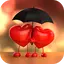 Love Wallpaper 2024 4.0