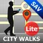 Savannah Map and Walks 7.1