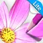 Sketch Agent Lite 4.4