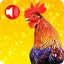 Loud Animal Ringtones – Animal 1.2