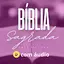 Bíblia Sagrada Mulher Almeida 4.0