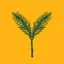Yellow Spruce Roasters 1.0.3640