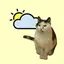 WeatherCat 1.8