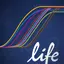 Real-time PCR 2.2