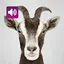 Goat: Sound & Ringtones 3.7.0