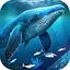 Blue Whale Video Wallpapers 2.0