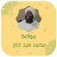 محمد سيد حاج محاضرات بدون نت 10.1