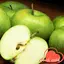 Apple recipes 8.0