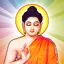 Buddha Quotes - Best Daily Bud 2.0.5