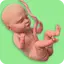 Mom Pregnancy Games: Mom Care 0.8