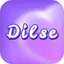 Dilse - Live Chat & Connect 4.0.0