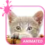 Pretty Kitty Wallpaper 5.15.1