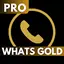 Whats Gold Version Advice 1.7.1