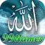 99 Names of Allah Audio /Video 2.0