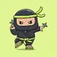 Ninja VPN : Private VPN Proxy 1.0.1