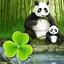 Theme panda GO Launcher EX 3.1