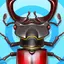 Bugs - Bugs Collector