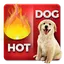 Fun Words Picture Quiz Game 1.2