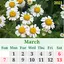 Calendar Creator-7 1.71