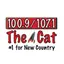 The Cat Albany 8.0.1