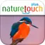 Identify live bird songs 2.2