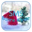 SMS Bonne Année 2025 8.3