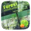 GO SMS PRO FOREST THEME 1.0