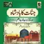 Jinnat Ka Badsha 1.7