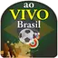 Futebol Brasil Ao Vivo Mundial 2.3.0
