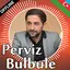 Perviz Bulbule 2.0