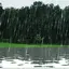 Rain Live Wallpaper 7.0