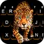 Fierce Cheetah Keyboard Theme 1.0