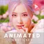 Rose Animated WASticker 1.1