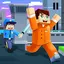 Prison Survival: Police Escape 1.1