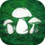 Real Mushroom Hunting Simulato 1.79