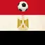 الدوري المصري الممتاز لايف لكرة القدم 1.1