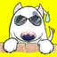 Funny Bull - Cute dog stickers for iMessage 1.0