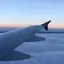 3d Airplane Live Wallpaper 3.8