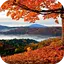 Autumn Live Wallpaper 100