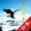 成功励志书籍